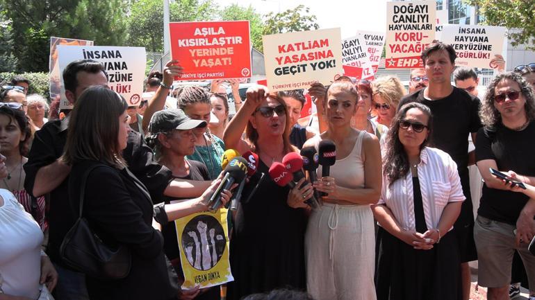 Ankarada barınak yakınında 11 köpek ölüsü bulundu; soruşturma başlatıldı