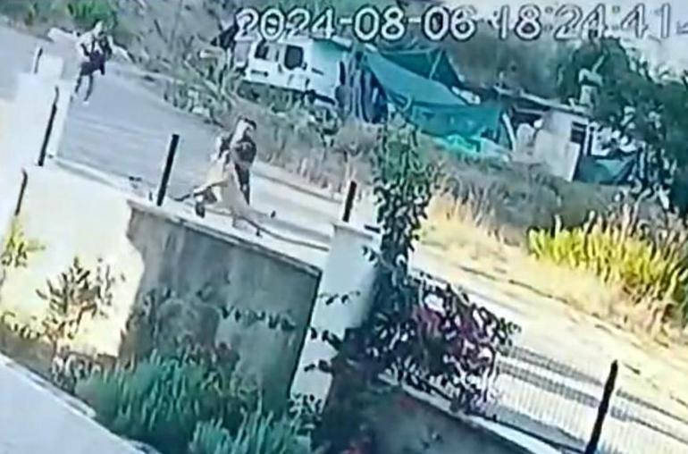 Zincirini kıran köpeğin kendisine taş atan çocuğa saldırı anı kamerada