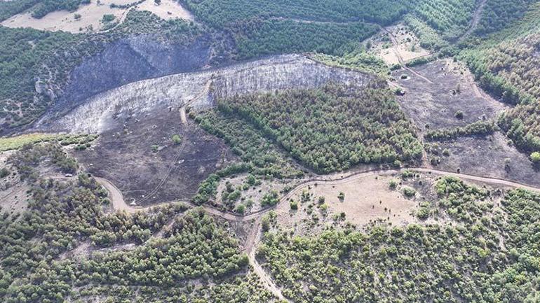 Tokattaki orman yangınında 45 hektarlık alan yandı; dronla görüntülendi