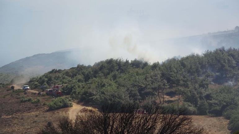 Çanakkalede tarım arazisinde çıkan yangın ormana sıçradı; kontrol altında