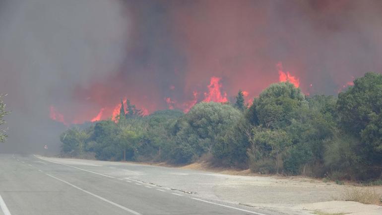 Çanakkale’de orman yangını