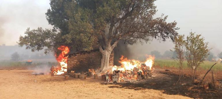 Manisadaki orman yangını 3üncü gününde; 1440 kişi tahliye edildi