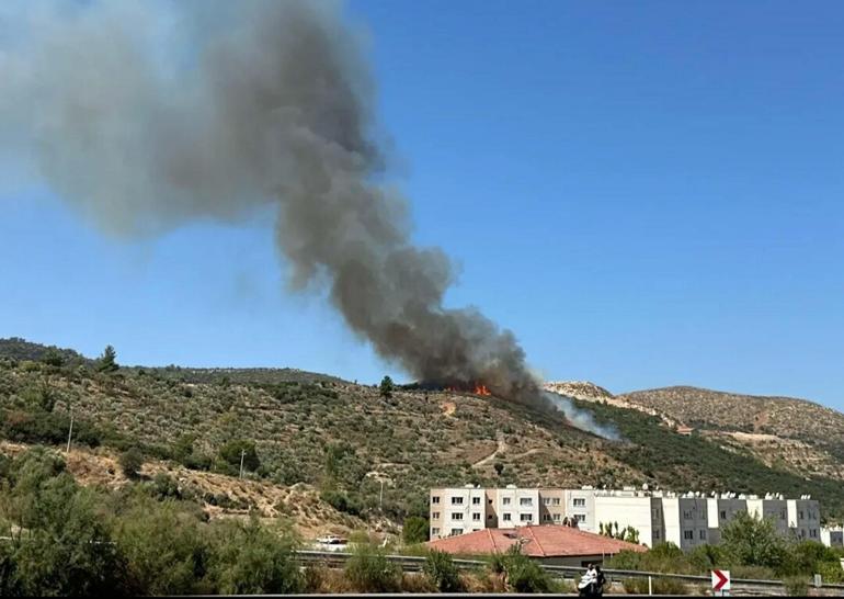 Muğlada makilik yangını