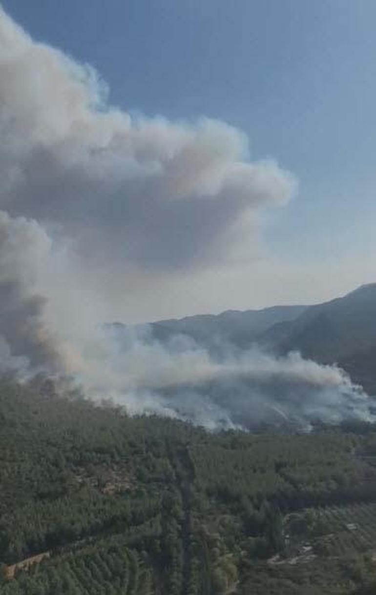 Mendereste orman yangını