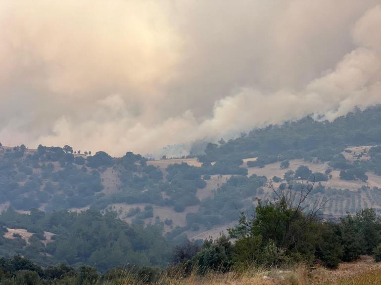 Manisadaki orman yangını 4üncü gününde