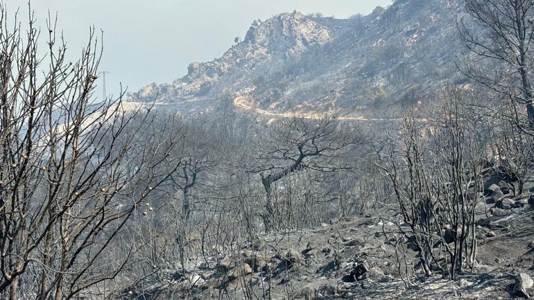 Kuvvetli rüzgar güneye doğru devam etseydi, İzmir yangına teslim olabilirdi