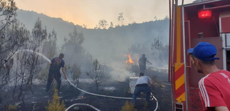 Balıkesirde yangını müdahale eden ekipler, arılar nedeniyle zor anlar yaşadı