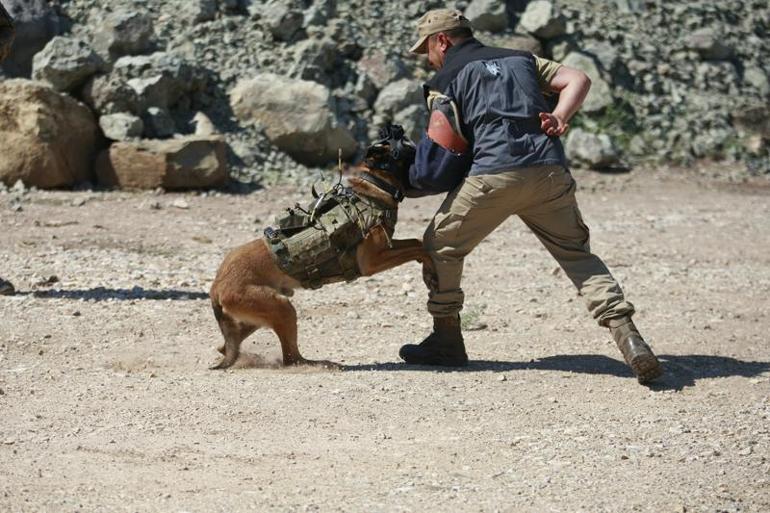 TSKnın eğitimli köpekleri için tasarlanan sistem, Parka ile test edildi