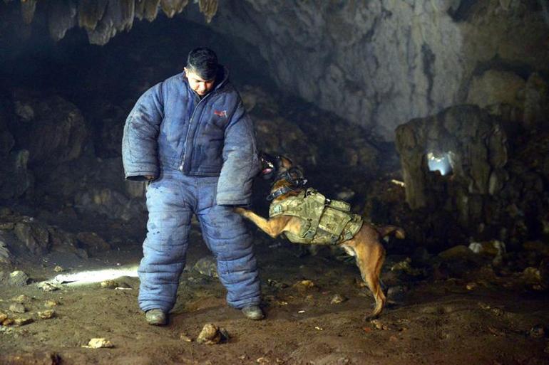 TSKnın eğitimli köpekleri için tasarlanan sistem, Parka ile test edildi