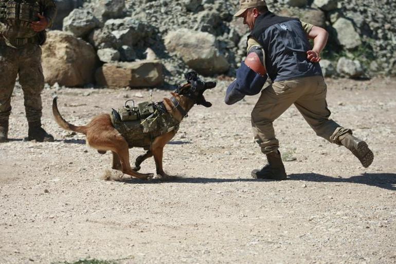 TSKnın eğitimli köpekleri için tasarlanan sistem, Parka ile test edildi