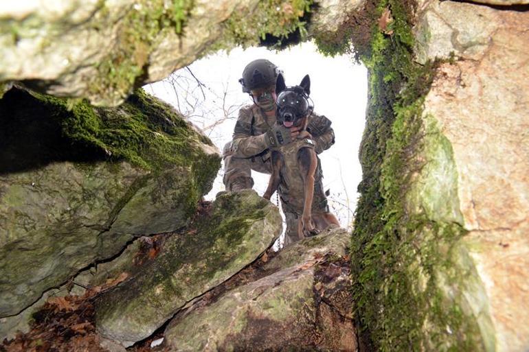 TSKnın eğitimli köpekleri için tasarlanan sistem, Parka ile test edildi