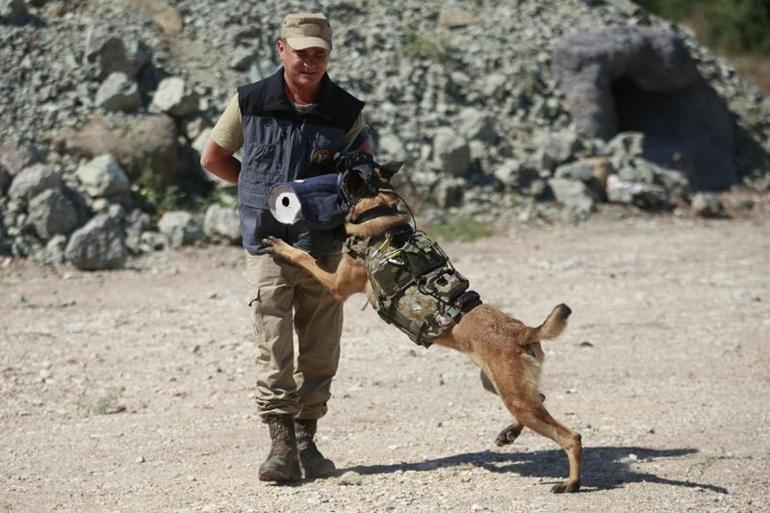 TSKnın eğitimli köpekleri için tasarlanan sistem, Parka ile test edildi