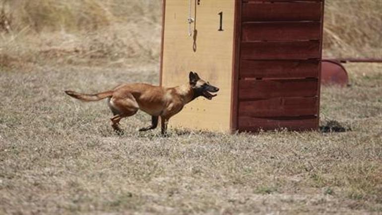 TSKnın eğitimli köpekleri için tasarlanan sistem, Parka ile test edildi