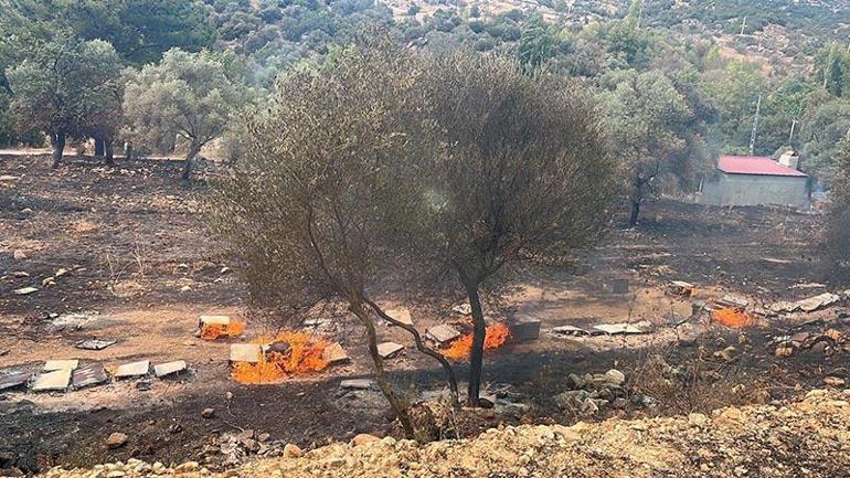 Yangına neden olduğu suçlamasıyla tutuklanan arıcı: Tütsüyü söndürdük