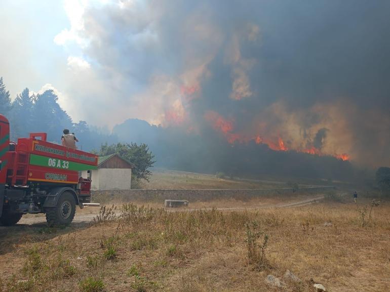 Ankaradaki orman yangını Boluya sıçradı