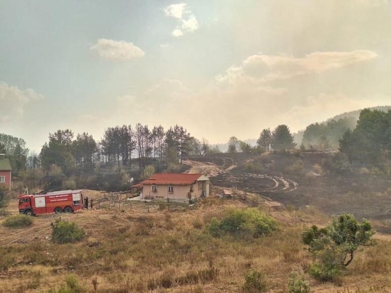 Ankaradaki orman yangını Boluya sıçradı