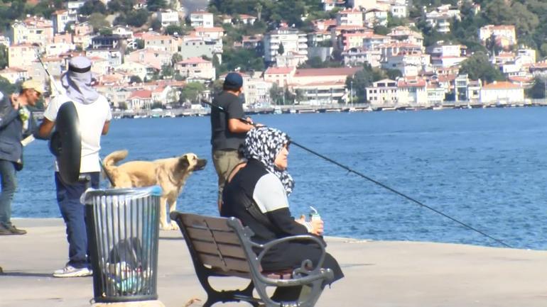 Sarıyer’de batan tekne: Kayıp kişiyi arama çalışmaları 2. gününde