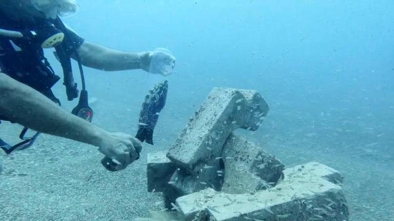 Plastik şişeye sıkışan nesli tehlike altındaki balığı kurtardı