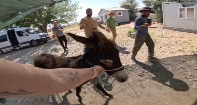 Arkeolog, kazı alanına terk edilen sıpayı sahiplendi