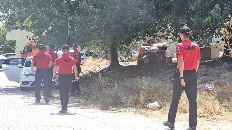 Narin’i arama çalışmaları 7’nci gününde; su kuyuları ile mısır ve pamuk tarlaları aranıyor