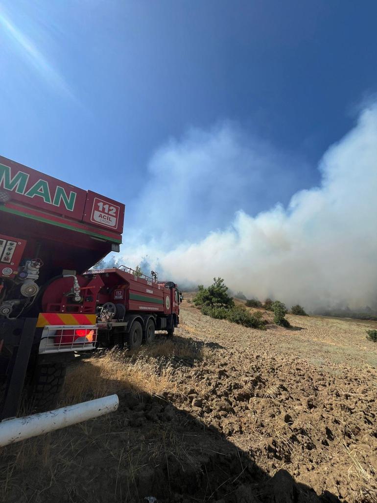 Kahramanmaraş’taki yangında 15 hektar orman zarar gördü