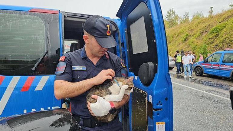 Tomruk yüklü kamyonla yolcu otobüsü çarpıştı: 2 ölü, 23 yaralı