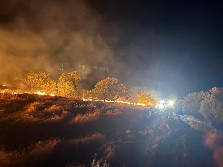 Erzincanda çıkan örtü yangını 4 saatte söndürüldü