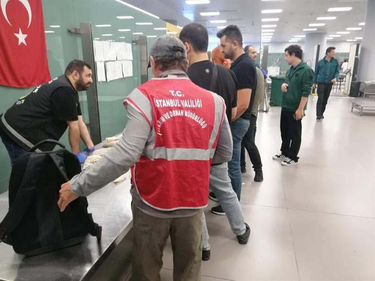 İstanbul Havalimanı’nda 20 bin adet sülük ele geçirildi