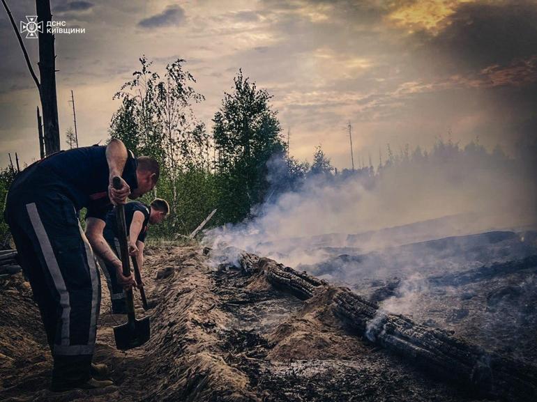 Ukrayna’da üç bölgede orman yangını