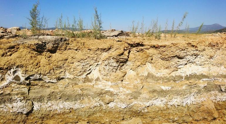 İklim değişikliğiyle toprakta artan tuz miktarına karşı örtü altı tarım önerisi