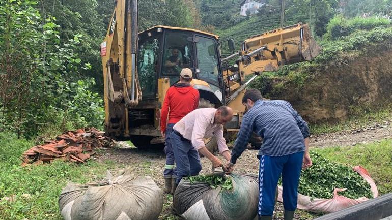 Çay hasadında heyelandan son anda kurtulmuş