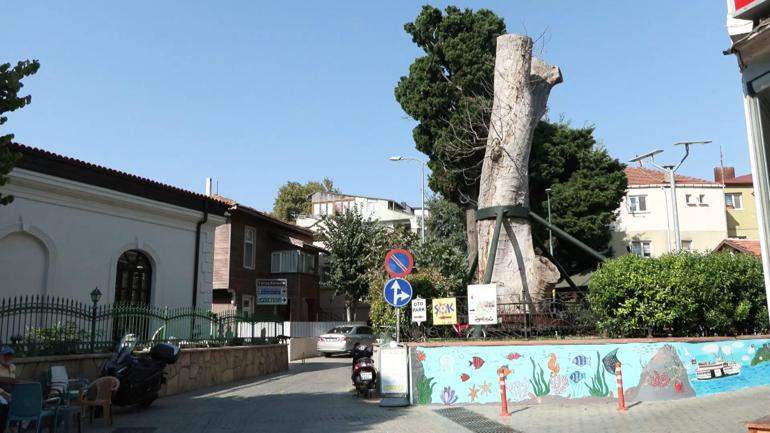 Midilli Ali Reis Camiinin avlusundaki tarihi mezar taşları için onarım talebi