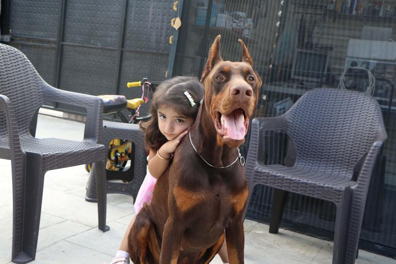 Kurduğu çiftlikle doberman yetiştirip, 40ı aşkın ülkeye gönderdi