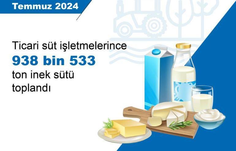 TÜİK: Aylık tavuk eti, yumurta ve içme sütü üretimi arttı