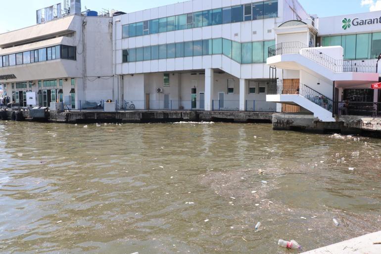 İzmir Körfezinde yağmur sonrası balık ölümleri yaşanmaz