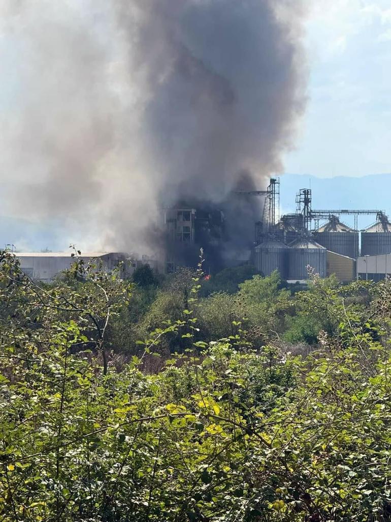 Hendek’te makarna fabrikasında patlama: 1 ölü, 6’sı ağır, 30 yaralı