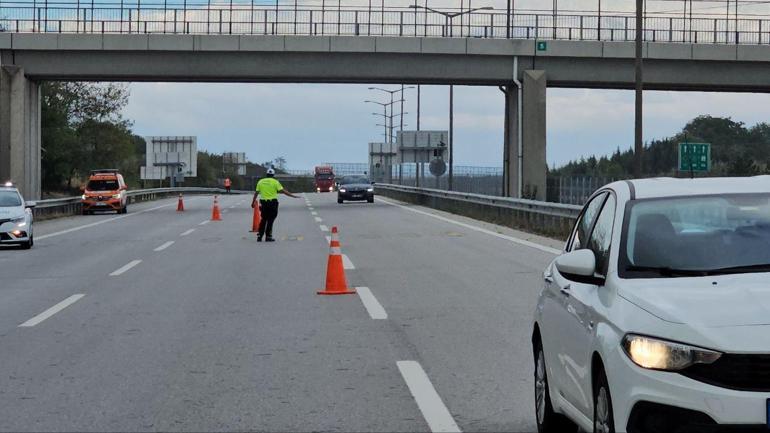 Ot yangını çıktı, TEM bir süre trafiğe kapatıldı