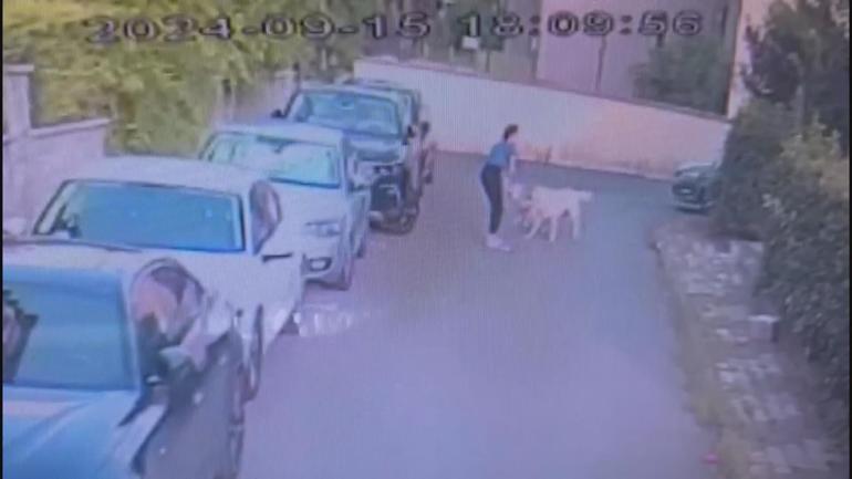 Ataşehirde tasmasız kangal köpeğin saldırdığı köpek öldü; sahibi kalp krizi geçirdi