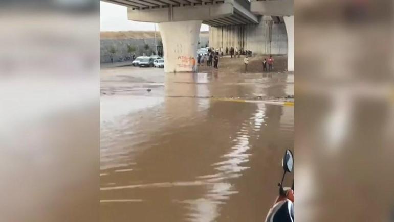 Şanlıurfada sağanak etkili oldu, fıstıklar su altında kaldı