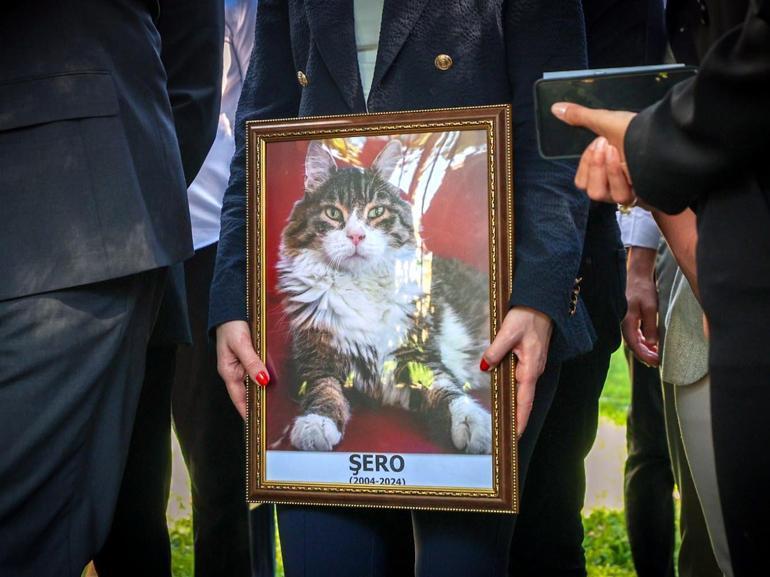 CHPnin kedisi Şero öldü