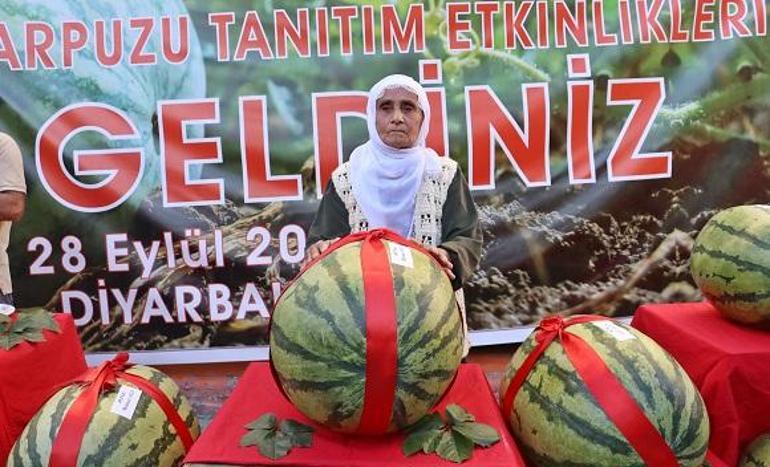 Diyarbakırda 72 yaşındaki üreticinin 48 kilo 700 gramlık karpuzu, yarışmada 1inci seçildi