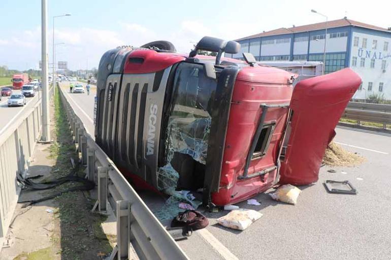 Sürücüsünü arı sokan TIR, devrildi