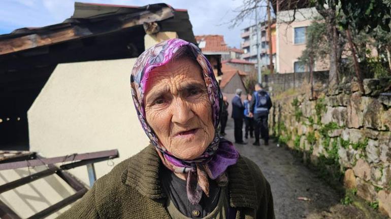 Fındık bahçesindeki kadını domuz sanıp, tüfekle vurarak öldürdü