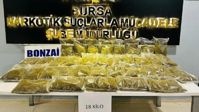 Bursa merkezli 5 ilde uyuşturucu operasyonu; 53 tutuklama