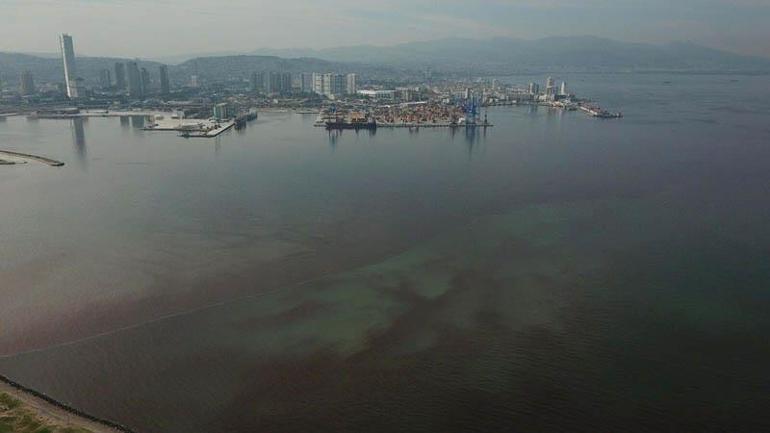 Bilim insanlarından İzmir Körfezi raporu: Ortamda atık su girdisinin olduğu anlaşıldı