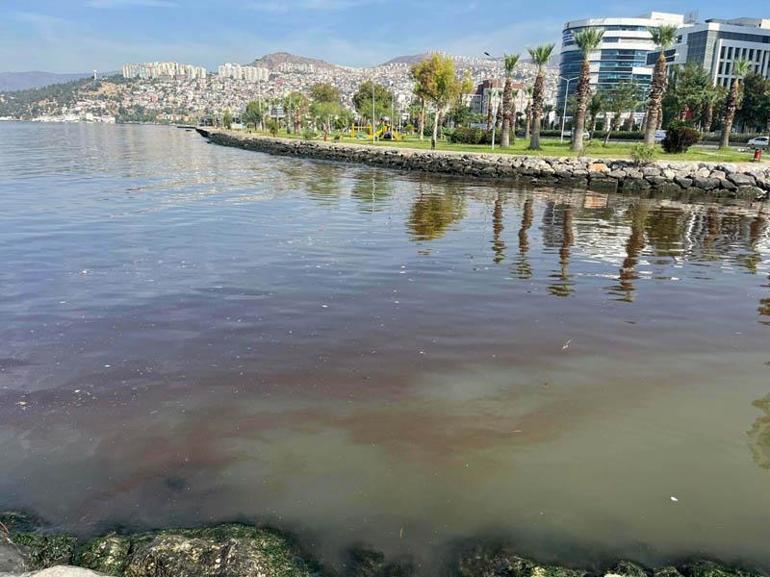 Bilim insanlarından İzmir Körfezi raporu: Ortamda atık su girdisinin olduğu anlaşıldı