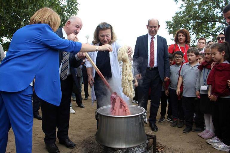 Edirne kırmızısına rengini veren bitki hasat edildi, kumaşlar boyandı