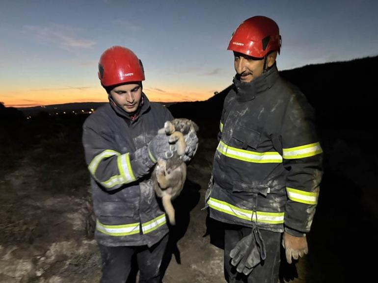 2 metre derinliğindeki yarığa düşen 2 yavru köpek kurtarıldı