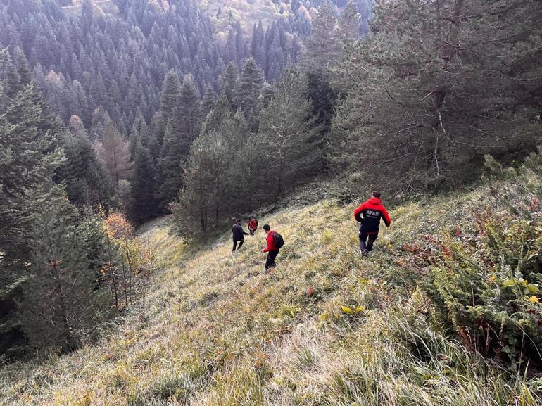 Ormana gidip, dönmeyen çiftin cansız bedenleri bulundu