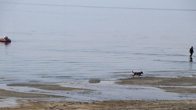 Rojini arama çalışmalarında kadavra köpekleri de kullanılıyor